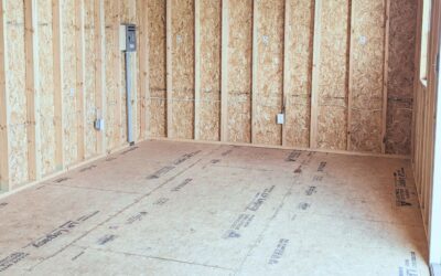 Best Paint for Plywood Shed Floor